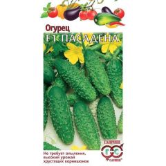 Огурец Пасадена F1 0,3 г корнишон (Голландия)