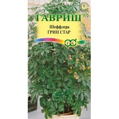 Шеффлера Грин Стар* 3 шт.