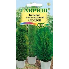 Кипарис Аполлон (вечнозеленый)* 0,1 г