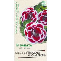Глоксиния Брокада красная с белым F1 гранул. 4 шт. пробирка Саката серия Эксклюзив