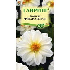 Георгина Фигаро белая  7 шт. негранул.