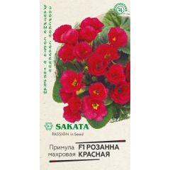 Примула Розанна красная F1 махровая * 4 шт. Саката серия Эксклюзив
