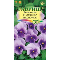 Виола Сорбет XP Беконсфилд F1 рогатая (Анютины глазки)* 4 шт.