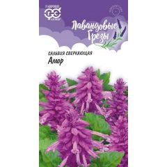 Сальвия сверкающая Амор*  4 шт. серия Лавандовые грёзы