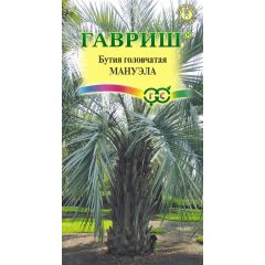 Бутия головчатая Мануэла 3 шт.