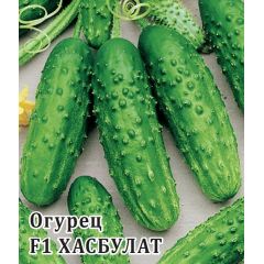 Огурец Хасбулат F1 100 шт. корнишон