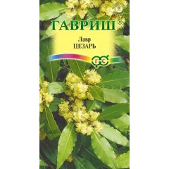Лавр благородный Цезарь 3 шт