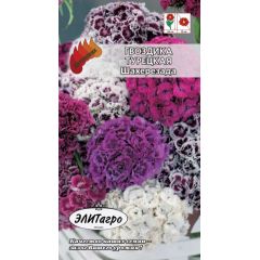 Гвоздика турецкая Шахерезада смесь 0,3 г Элитагро