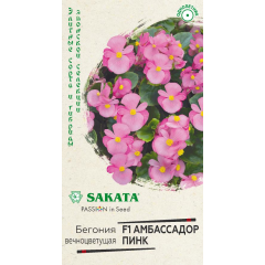 Бегония Амбассадор Пинк F1 вечноцв. 4 шт. пробирка Саката серия Элитная клумба