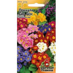 Примула Биг-Бен* 20 шт. Удачные семена