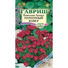 Камнеломка Арендса Пурпурный ковер* 0,01 г
