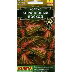 Колеус блюме Коралловый восход  10 шт. Аэлита