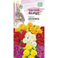Георгина Василиса 0,3 г серия Чудесный балкон
