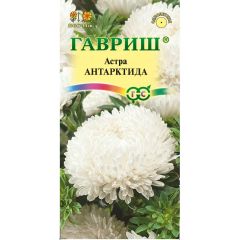 Астра Антарктида, однолетняя (белая пионовидная) 0,3 г