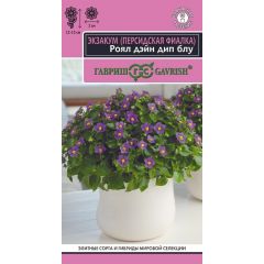 Персидская фиалка (Экзакум) Роял дэйн дип блу 4 шт.