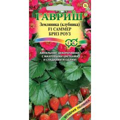 Земляника (Клубника) Саммер Бриз Роуз F1 пробирка 4 шт.