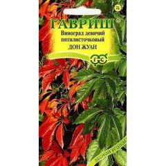 Виноград девичий пятилисточковый Дон Жуан 5 шт.