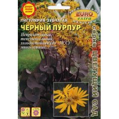 Лигулярия зубчатая (Бузульник) Черный пурпур 4 шт. Аэлита