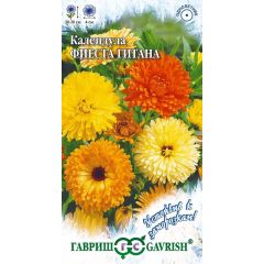 Календула Фиеста Гитана 0,3 г серия Устойчив к заморозкам!