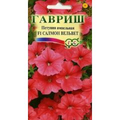 Петуния Салмон Вельвет (Сурфиния) амп. 4 шт. пробирка