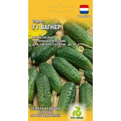 Огурец Вагнер F1 5 шт. (Голландия)