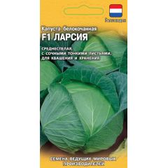 Капуста белокоч. Ларсия F1 10 шт. для квашения  (Голландия)