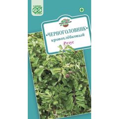 Черноголовник кровохлебковый (Кровохлёбка) Резус 0,5 г