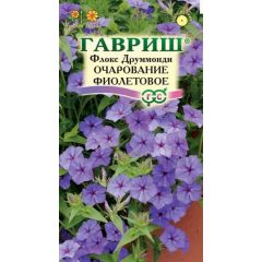 Флокс Очарование фиолетовое, друммонда* 0,05 г