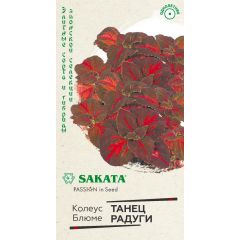 Колеус Танец радуги* 5 шт. Саката серия Эксклюзив