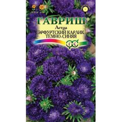 Астра Эрфуртский карлик Темно-синяя, однолетняя, 0,3 г