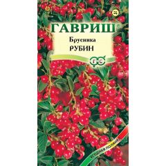 Брусника Рубин 20 шт.