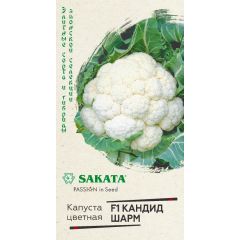 Капуста цветная Кандид Шарм F1 10 шт. (Саката)