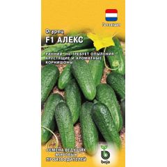 Огурец Алекс F1 5 шт. (Голландия)