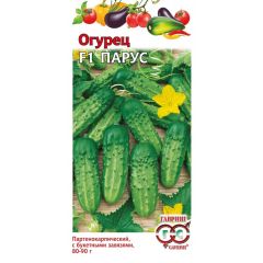 Огурец Парус F1 10 шт. корнишон