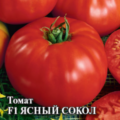 Томат Ясный сокол F1 100 шт. автор.