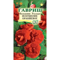 Бальзамин Искушение оранжевое F1 (Уоллера)* 5 шт.