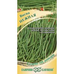 Вигна Нежная 10 шт, Семена от автора