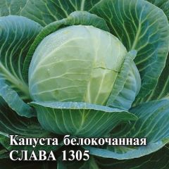 Капуста белокоч. Слава 1305 25 г для квашения