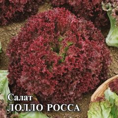 Салат Лолло Росса 10,0 г листовой, бордовый