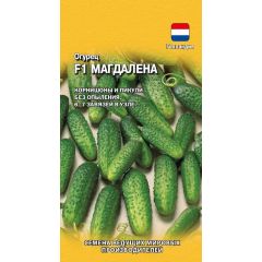 Огурец Магдалена F1 5 шт. (Голландия)