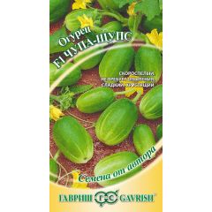 Огурец Чупа-Щупс F1 5 шт. автор.