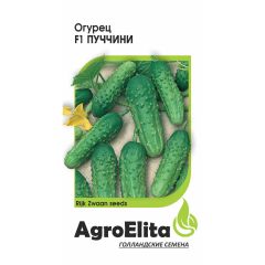Огурец Пуччини F1 5 шт. партен. (Райк Цваан) Агроэлита