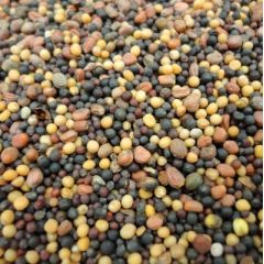 Смесь сидератов бобовая 1,0 кг