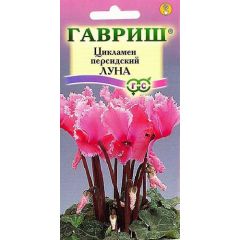 Цикламен Луна персидский* 3 шт.