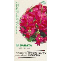 Львиный зев (Антирринум) Флорал Шауэрс малиновый F1 7 шт. Саката серия Элитная клумба