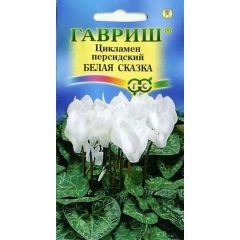 Цикламен Белая сказка персидский* 3 шт