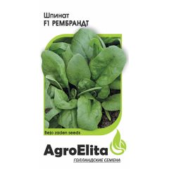 Шпинат Рембрандт F1 1 г (Бейо) Агроэлита