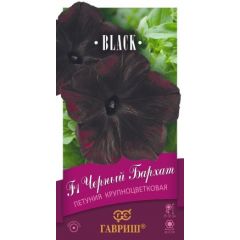 Петуния Черный бархат F1 крупноцв. 4 шт. гранул. пробирка, серия Блэк