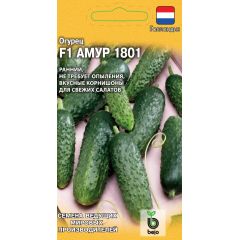 Огурец Амур 1801 F1 5 шт. (Голландия)