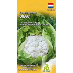 Капуста цветная Опаал 10 шт. (Голландия)